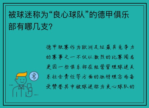 被球迷称为“良心球队”的德甲俱乐部有哪几支？